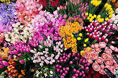 亚马逊游戏总裁：新《古墓丽影》进展很顺利 水晶动力没太受裁员影响